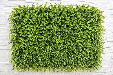 《无限机兵》免费更新上线！挑战极限的【半虚化】模式